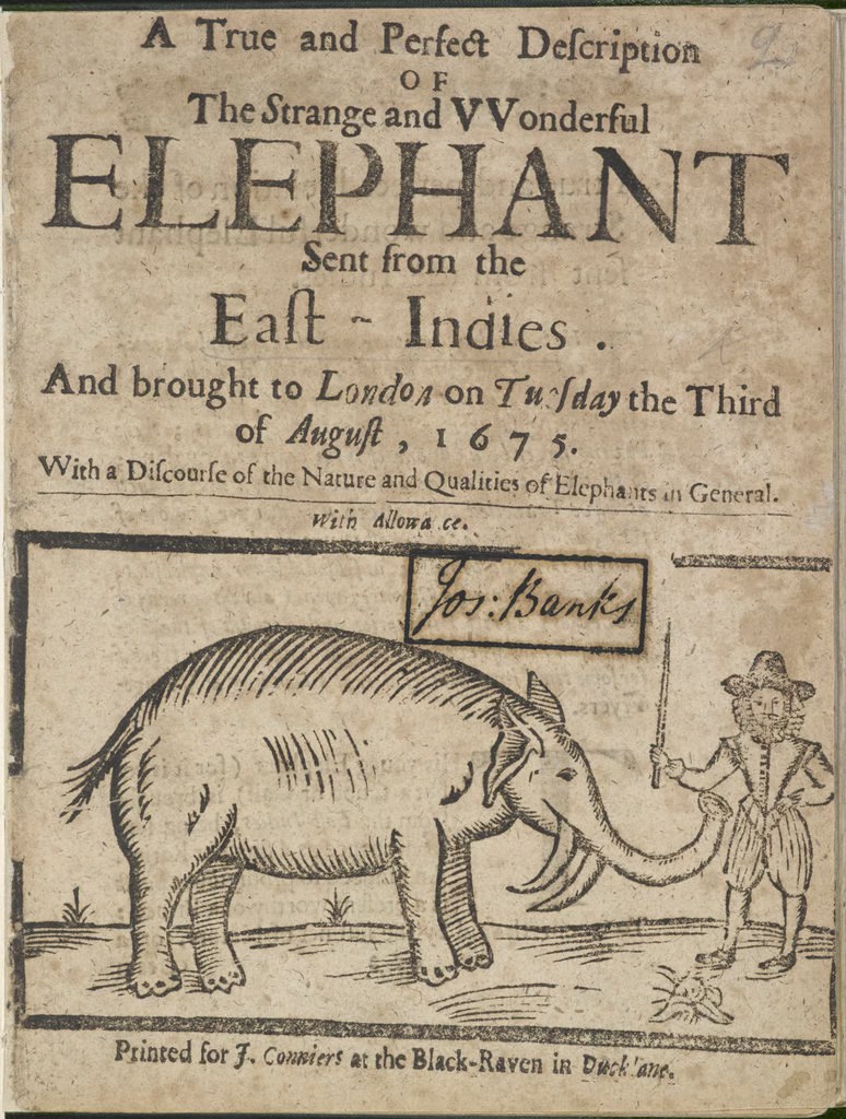 ELEFANTES SÃO SHAKESPEARIANOS